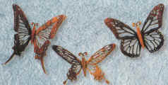 butterflys.jpg (47099 bytes)