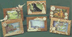pic frames.jpg (44017 bytes)